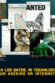 No te metas con los gatos: Un Asesino en Internet