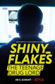 Shiny Flakes El cibernarco adolescente